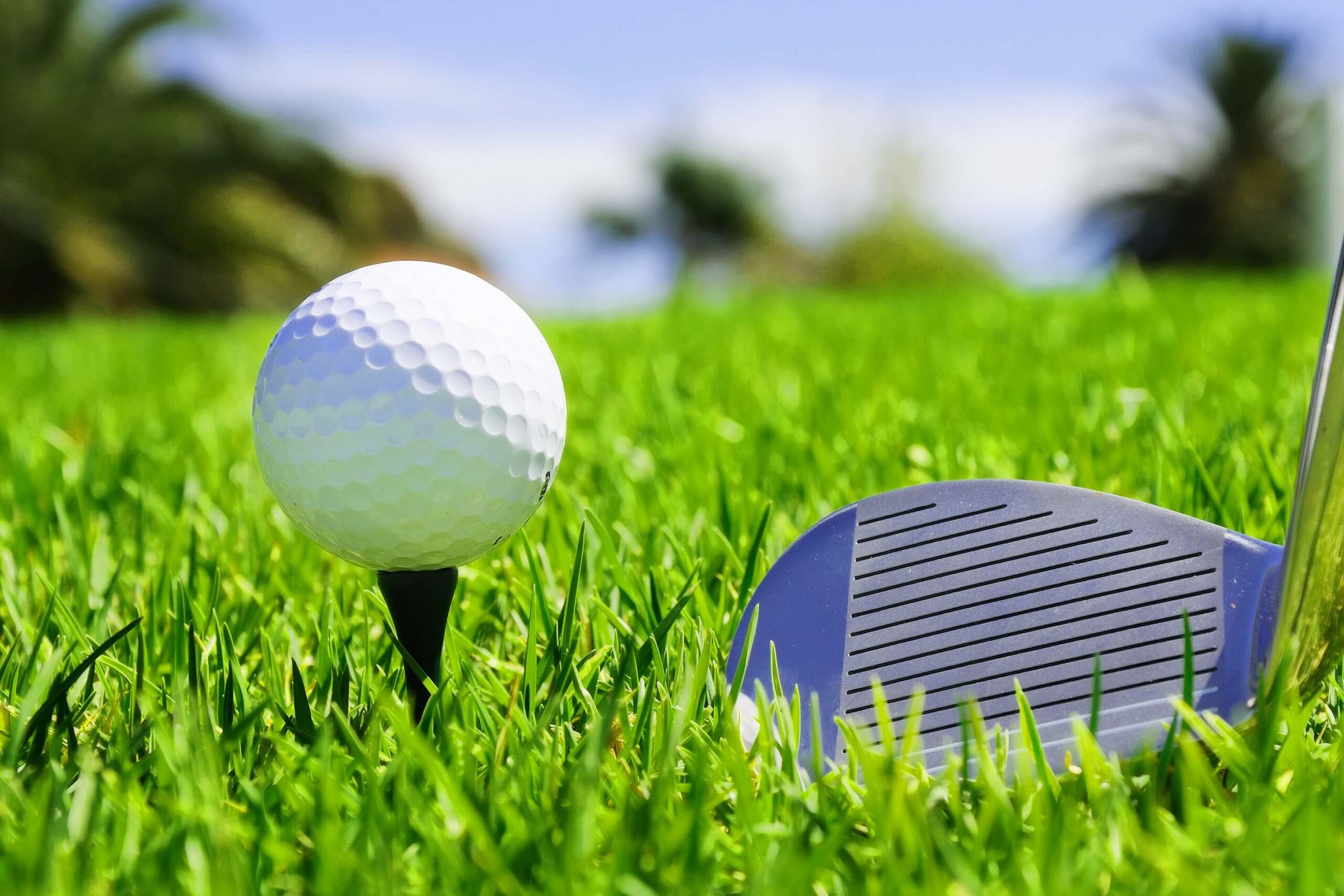 A golf ball on Sanibel Golf Courses.