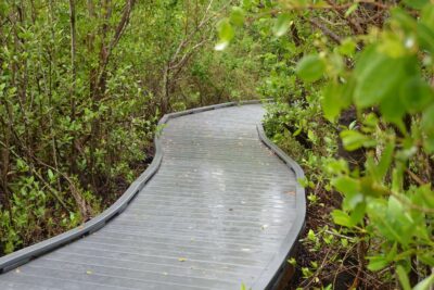 One of the many Hidden Gems​ in the area.
