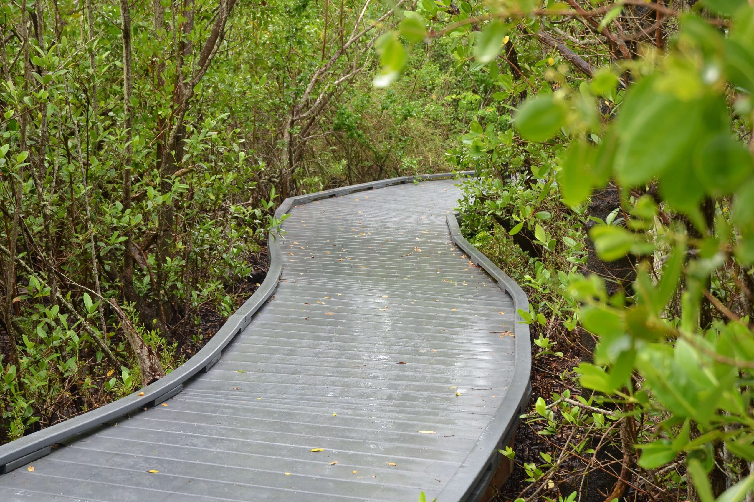 One of the many Hidden Gems​ in the area.